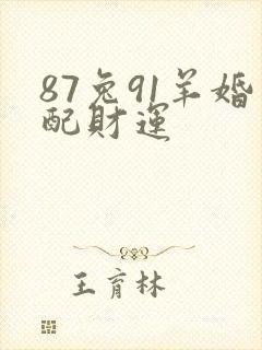 87兔91羊婚配财运