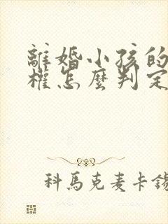 离婚小孩的抚养权怎么判定