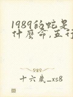 1989的蛇是什么命,五行属性