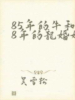 85年的牛和88年的龙婚姻怎么样