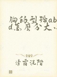 胸的型号abcd怎么分大小