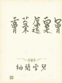 舌苔厚白口臭是胃寒还是胃热