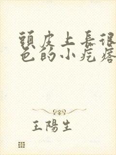 头皮上长很多红色的小疙瘩