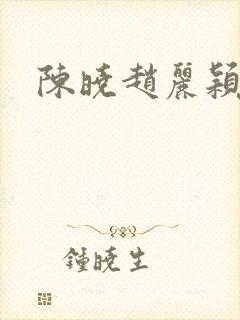 陈晓赵丽颖访谈