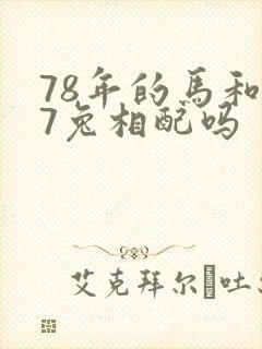 78年的马和87兔相配吗