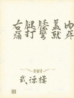 右腿膝盖内侧疼痛打弯就疼为什么