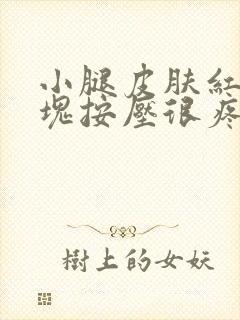 小腿皮肤红肿硬块按压很疼