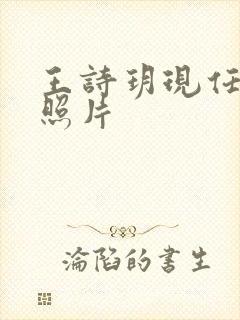 王诗玥现任丈夫照片