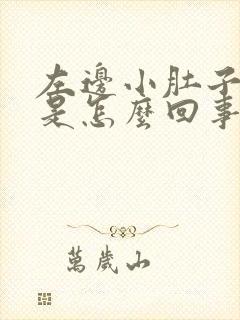 左边小肚子酸疼是怎么回事女性