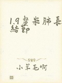 1.9厘米肺长结节