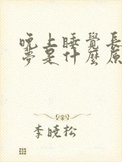 晚上睡觉长期做梦是什么原因