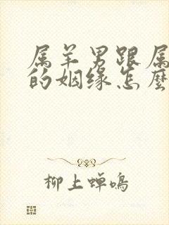 属羊男跟属牛女的姻缘怎么样封面