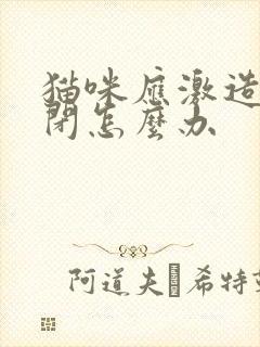 猫咪应激造成尿闭怎么办