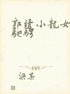 郭靖小龙女身上驰骋