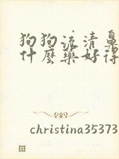 狗狗流清鼻涕吃什么药好得快