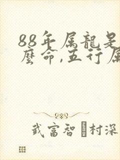 88年属龙是什么命,五行属性