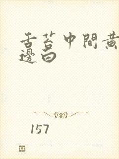 舌苔中间黄厚腻边白