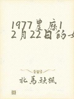 1977农历12月22日的女命运