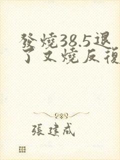 发烧38.5退了又烧反复封面