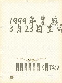 1999年农历3月23日生命运