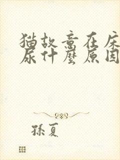 猫故意在床上拉尿什么原因封面