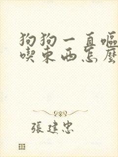 狗狗一直呕吐不吃东西怎么办