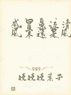 感冒鼻流清涕是风寒还是风热