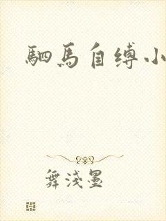 驷马自缚小说