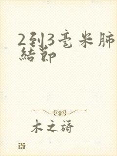 2到3毫米肺有结节