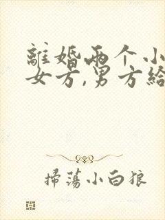 离婚两个小孩归女方,男方给多少抚养费封面