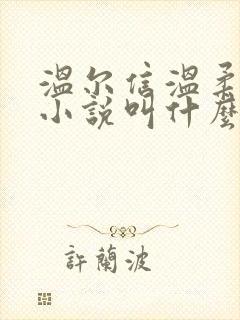 温尔信温柔原著小说叫什么名字