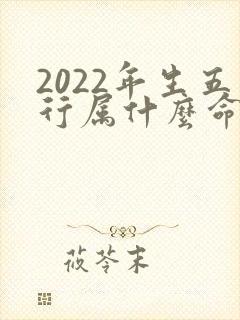 2022年生五行属什么命