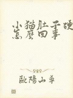 小猫肚子硬硬的怎么回事