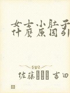 女士小肚子疼是什么原因引起的