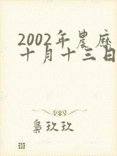 2002年农历十月十三日出生的男孩的命运
