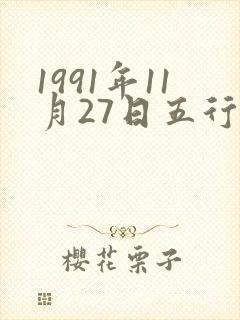 1991年11月27日五行命属性