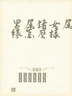 男属猪女属龙姻缘怎么样