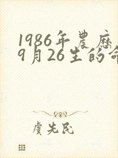 1986年农历9月26生的命运