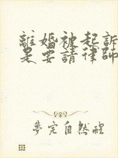 离婚被起诉是不是要请律师封面