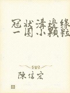 冠状沟边缘长了一圈小颗粒