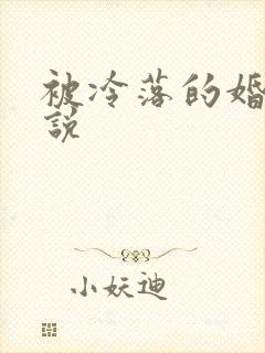被冷落的婚姻小说
