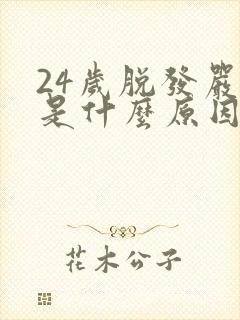 24岁脱发严重是什么原因封面