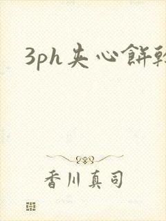 3ph夹心饼干封面