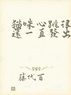 猫咪心跳很快,还一直发出突突声