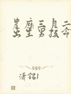 农历三月二十一出生男孩命运好吗?