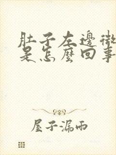 肚子左边微微疼是怎么回事女性