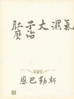 肚子大湿气重怎么治