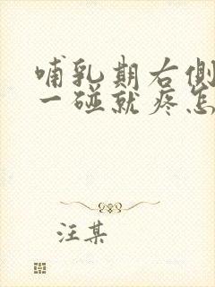 哺乳期右侧乳房一碰就疼怎么回事