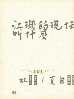 江珊的现任丈夫叫什么