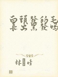 白头发的毛囊能长出黑发吗